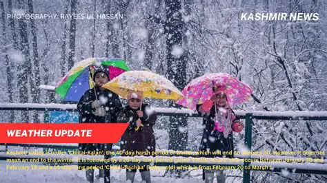 Rajouri Jammu & Kashmir Weather Today and 7-Day Forecast: Your Essential Guide