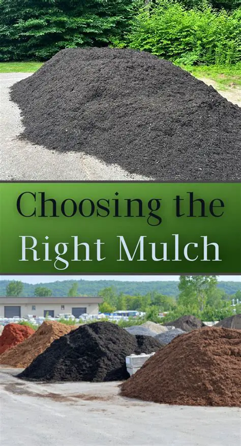 Recognizing the best combination of water and mulch types