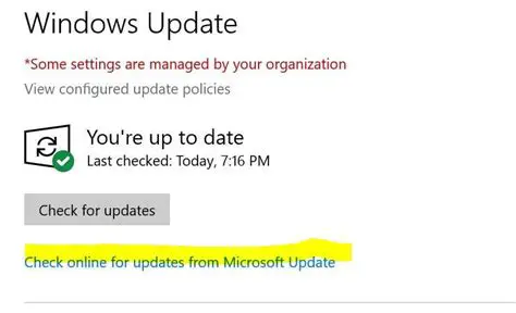 Regularly check for updates