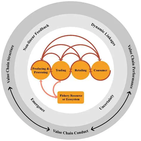 Research on Kinship Solidarity