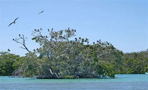 Reserva da Biosfera de Cairns