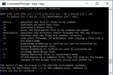 Running a Program from a Batch File