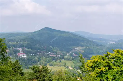 Rzeszów Live Camera: Your Real-Time Window into the Heart of Subcarpathia