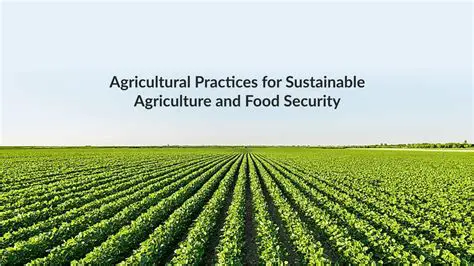 SACN: The Future of Sustainable Agriculture and Food Security