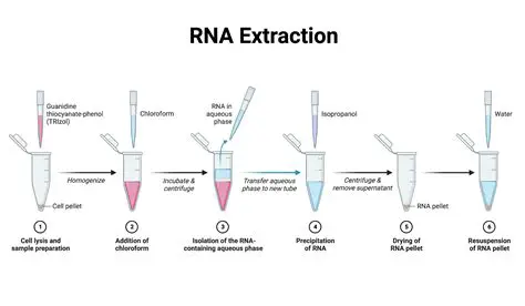 Sample Collection and RNA Extraction