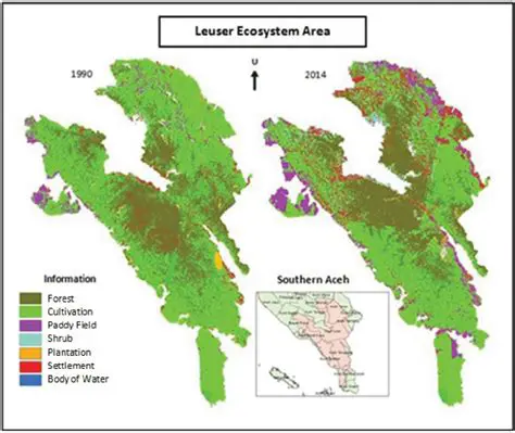 Serasah and Soil Infiltration Rate in Leuser Ecosystem Area