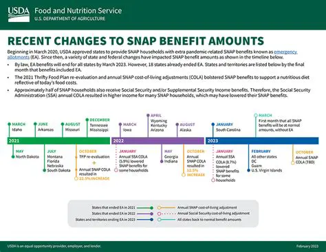 SNAP Benefits Halt in November? What You Need to Know About Potential Disruptions