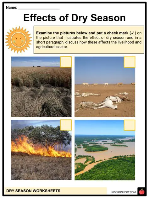 Suitable for the dry season