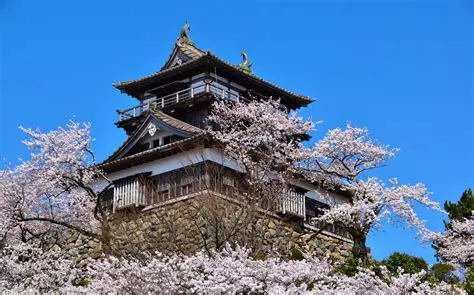 高畑充希：演技力と歌唱力で魅了するトップ女優の軌跡