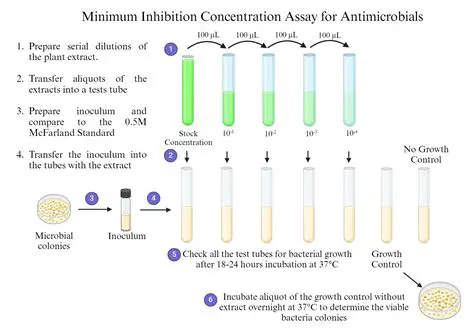 Testing the Minimum Inhibition with Agar Diffusion Technique