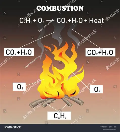 The Chemistry of Coal Combustion