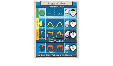 The Concept of Labor and Time