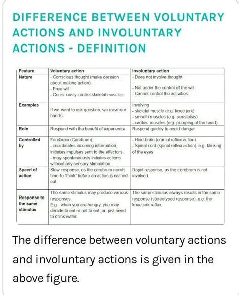The Difference Between Voluntary and Involuntary Actions