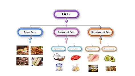 The Different Types of Fats