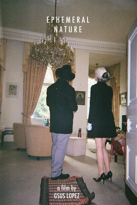 The Ephemeral Nature of Fog Banks