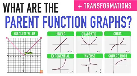 The Function and Its Sequence