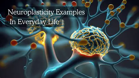 The History of Neuroplasticity