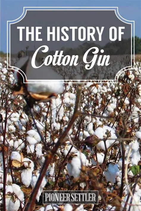 The History of the Cotton Gin