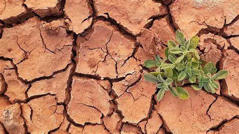 The Importance of Andisol Land Protection and Management