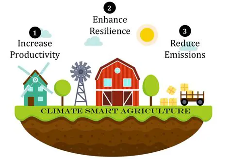 The Importance of Climate Analysis
