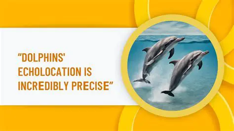 The Importance of Echolocation in Dolphins