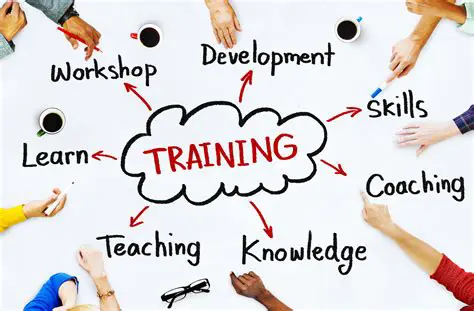 The Importance of Education and Training in the Workplace