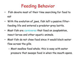 The importance of jaws in feeding behavior