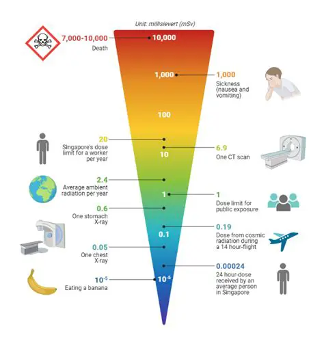 The Importance of Radiation Dosage Monitoring