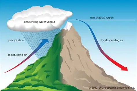The Importance of Understanding Rainfall Patterns