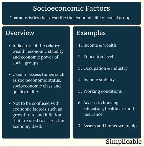 The Influence of Socioeconomic and Technological Factors on the Productivity of Soybeans
