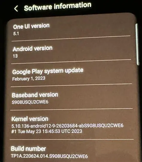 The Need for Latest Stable Release Support