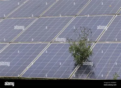The Need for Sustainable Energy Solutions