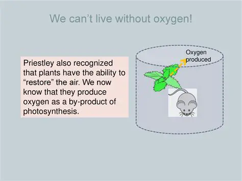 The Only Organisms That Can Live Without Oxygen
