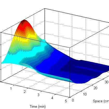 The Physics of the Problem