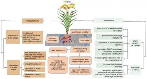 The Potential of Endophytic Bacteria for Rice and Corn in Controlling Root Rot in Plants
