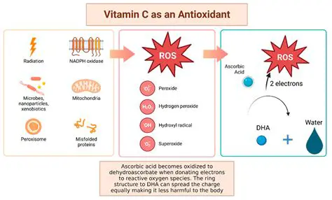The Potential of Gambier Leaves as an Antioxidant Source