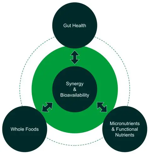 The Prevention of Further Loss of Life