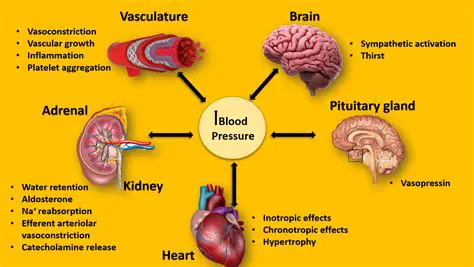The Problem of Declining Blood Pressure in Horses