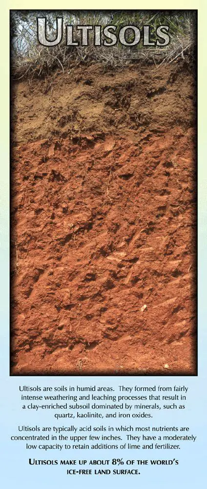 The Problem of Ultisol Soil