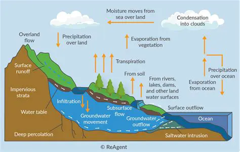 The Process of Condensation