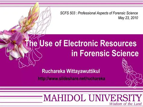 The Role of Electronic Resources in Education