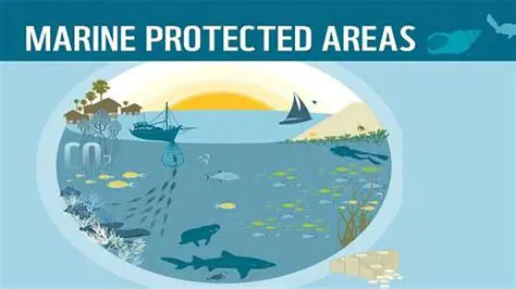 The Role of Marine Protected Areas