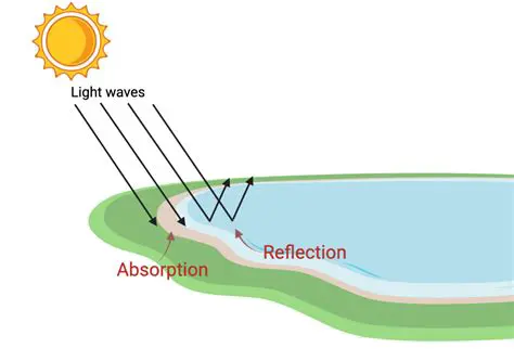 The Science Behind Light Absorption