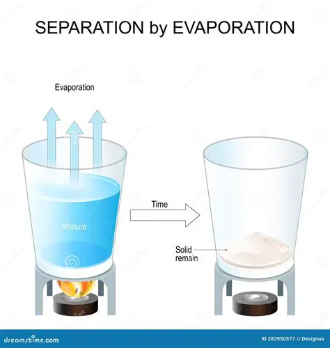 The Science Behind Water Evaporation