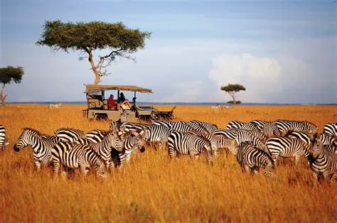 The Serengeti National Park