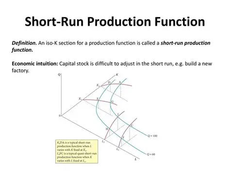 The Short Run Production Function