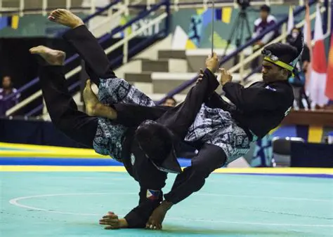 The Significance of Pencak Silat in Malay Culture