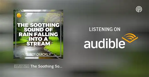 The Soothing Sound of Rain