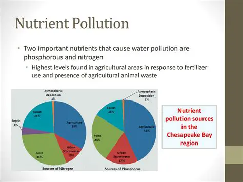 The Sources of Nutrient Pollution