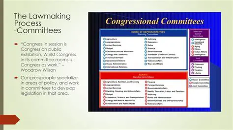 The Speed of the Lawmaking Process